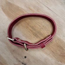 Load image into Gallery viewer, Redhide dog collar with solid brass buckle and rivets

